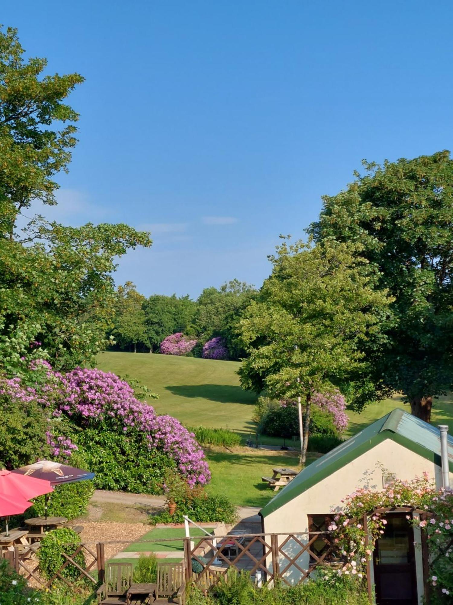 Priskilly Forest Country House Fishguard Bagian luar foto
